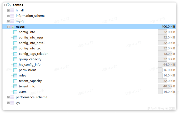 image-20250311094529757